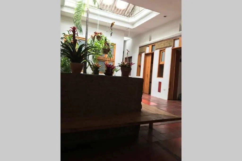 Blue Parrot San Antonio Apartamento Cali Colombia