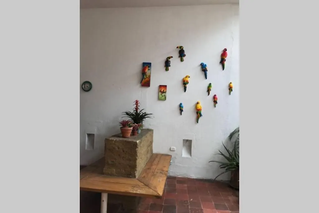 Blue Parrot San Antonio Apartamento Cali Colombia
